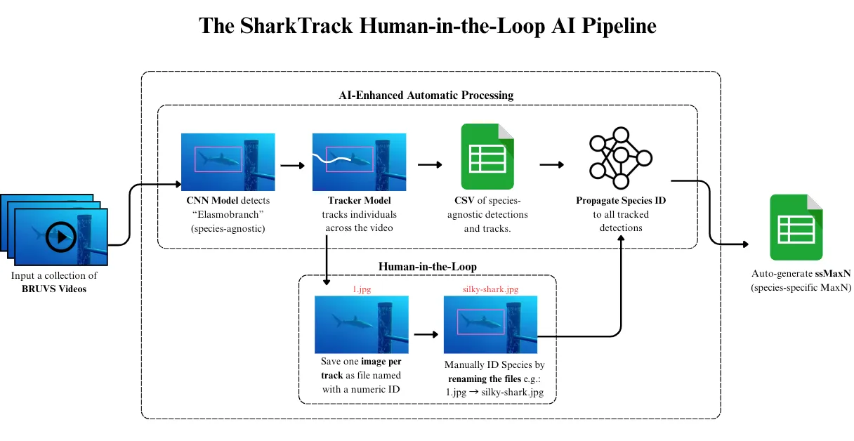 The SharkTrack pipeline